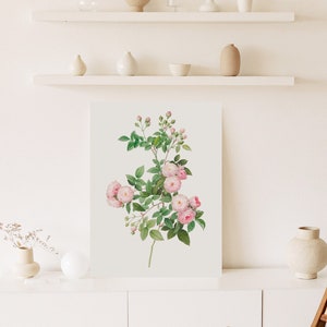 Pink Rose Vintage Botanical Wall Art Print, Antique Botanical Print, Floral Vintage Art Print, Rose Printable Art, Flower Digital Download