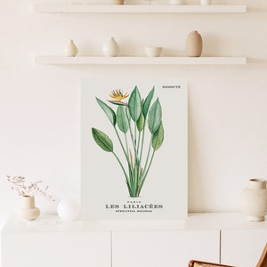 Tropical Floral Wall Art Print: Bird of Paradise Printable Artwork