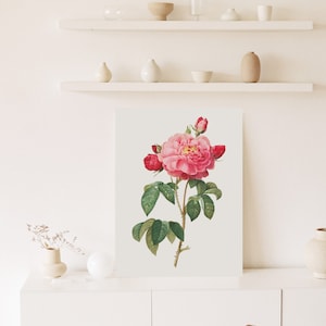 Rose Vintage Art Print, Antique Botanical Print, Vintage Flower Print, Rose Poster, Digital Printable Wall Art, Vintage Illustration