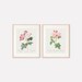Printable Rose Wall Art Set of 2 - Etsy