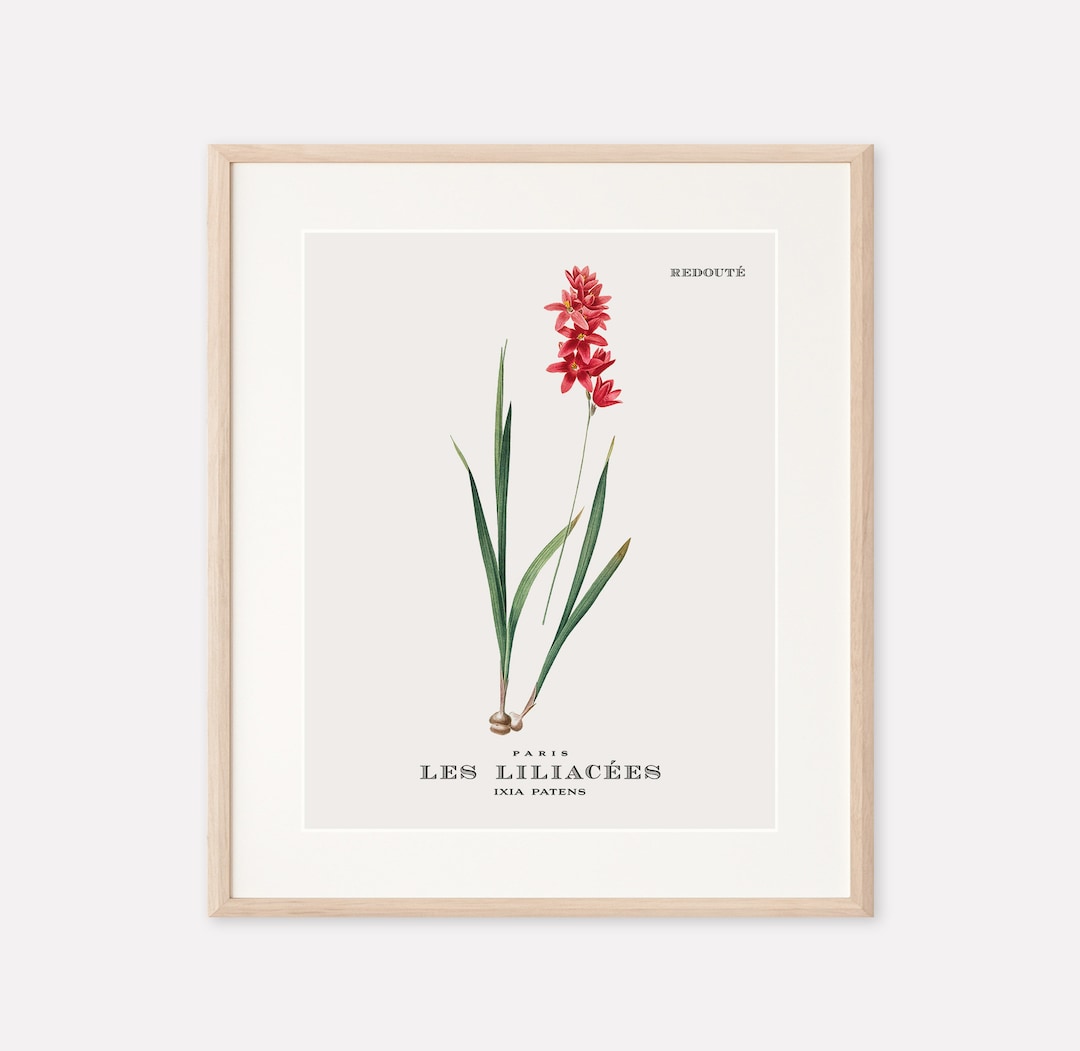 Printable Floral Digital Wall Art Print Vintage Botanical Flower