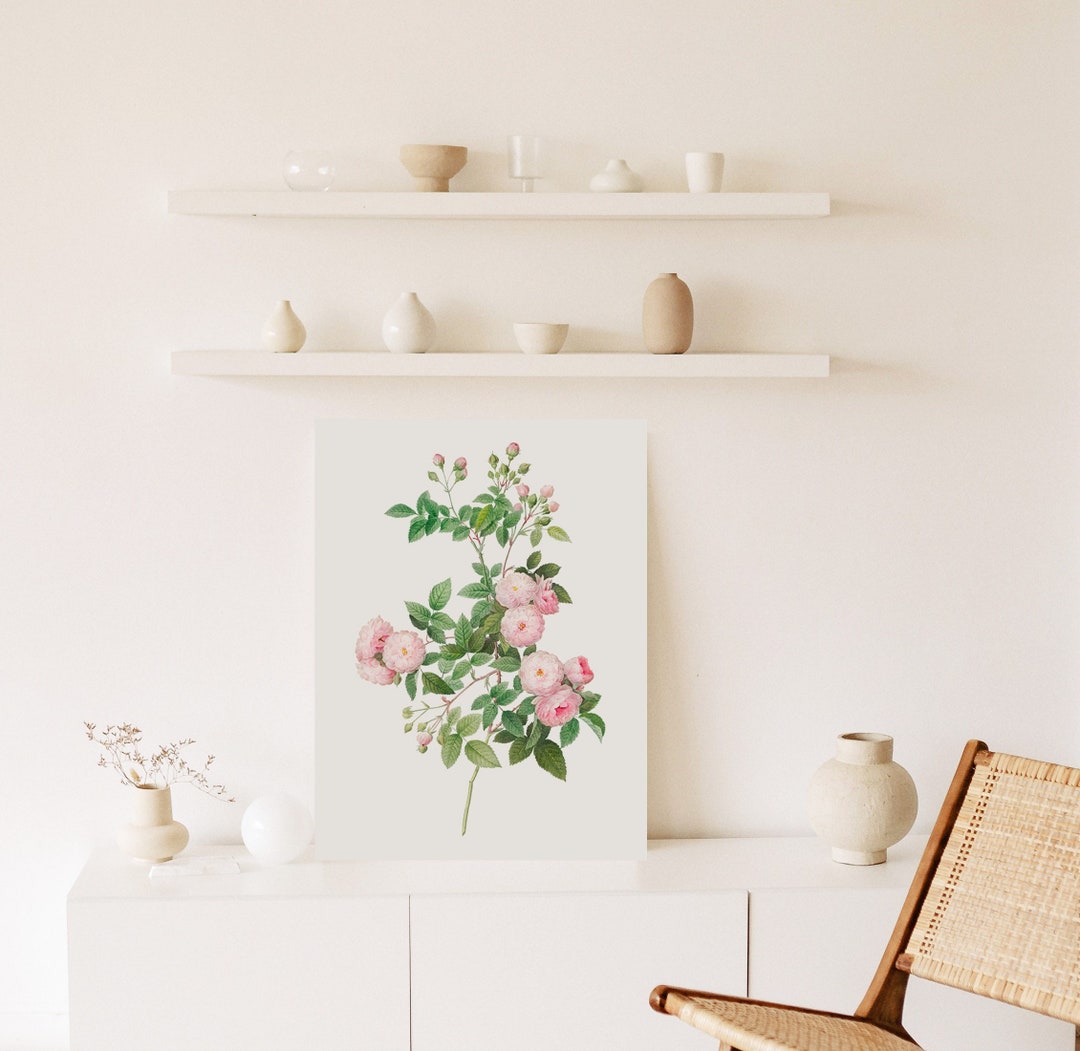 Pink Rose Vintage Botanical Wall Art Print, Antique Botanical Print ...