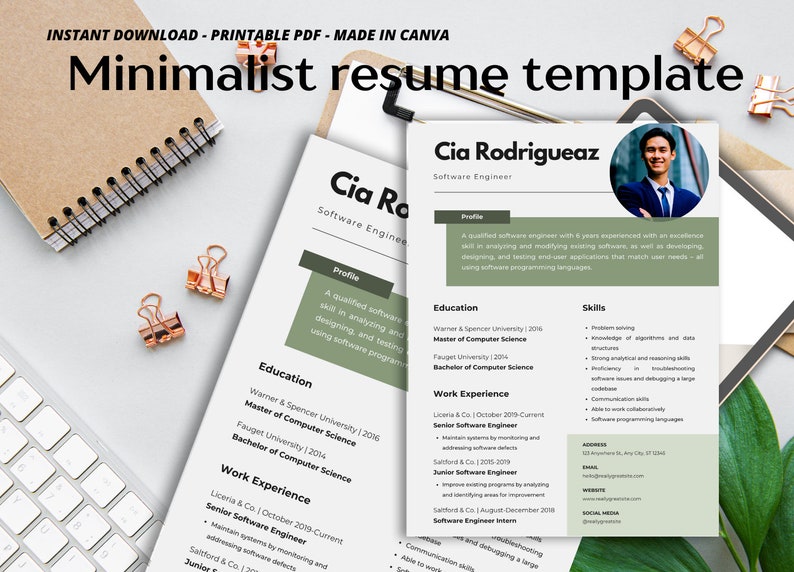 Software Engineer Executive Resume, Fern Green Professional Cv Template ...