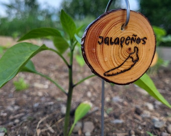 May include: A wooden plant marker with the text "Jalapeños" and a drawing of a jalapeño pepper. The marker is attached to a metal stake and is stuck in the ground next to a green pepper plant.