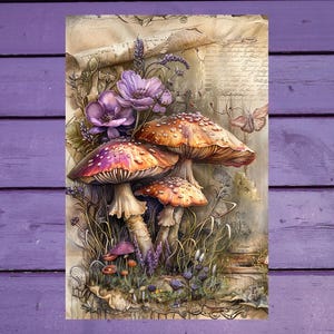 Carte postale Champignons 10 x 15 cm/4'x6' in Stylo