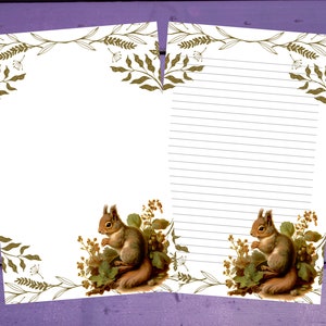 Woodland Squirrel Letter Writing Paper A5 Artigos de papelaria forrado/sem forro Penpal Suprimentos