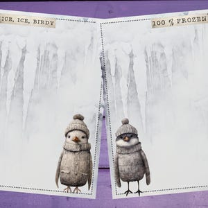 Papel de carta dupla face Winter Birds A5, papelaria pautada/sem pautada, suprimentos para amigos por correspondência