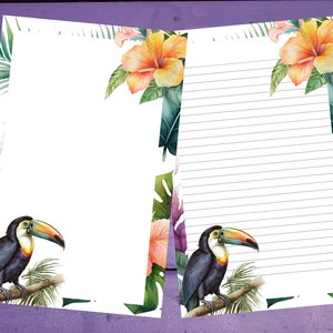 Papel de escrita de carta de tucano A5 Artigos de papelaria forrados/sem forro Penpal Suprimentos