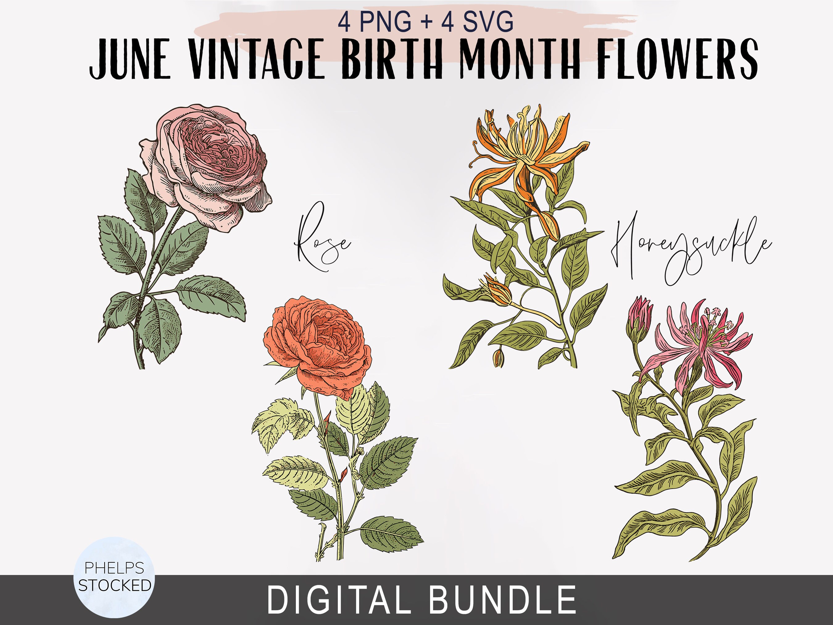 June Birth Month Flower Clipart SVG PNG Rose Honeysuckle Bundle