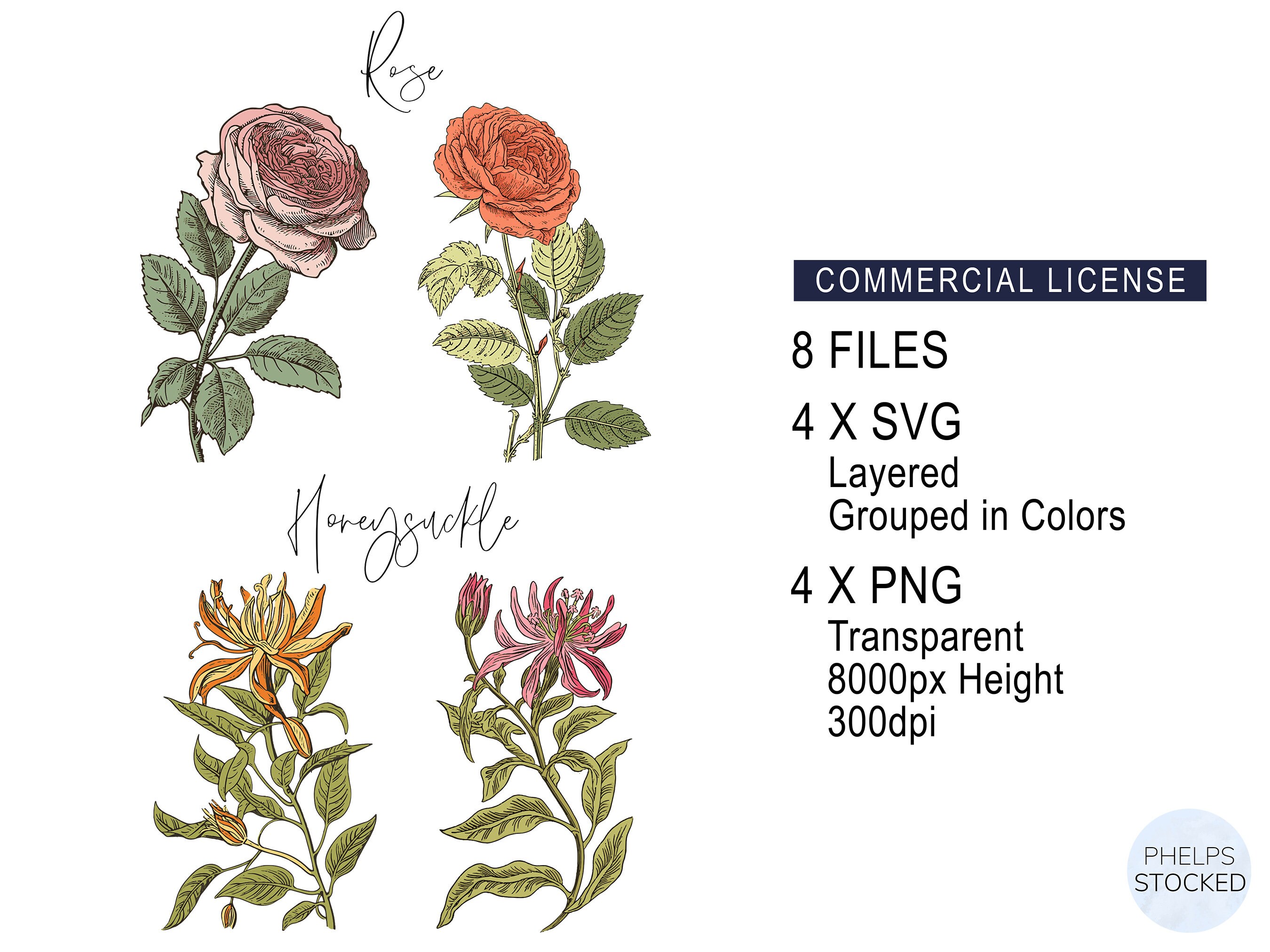 June Birth Month Flower Clipart SVG PNG Rose Honeysuckle Bundle