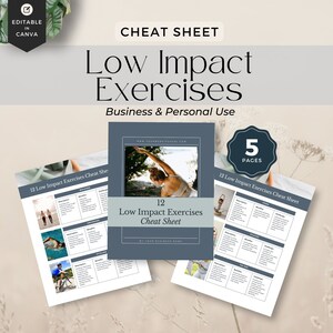Fitness trainer cheat sheet, health coach cheat sheet, low impact exercises, personal trainer healthy living exercises, lead magnet, canva