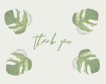 Variegated Monstera Thank You Card - Green Four Leaves - Digital Download