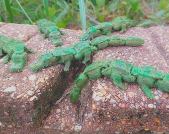 Tcãtcuba', de gelede 3D-aligator