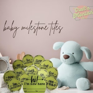 Custom Baby Milestone Acrylic Tiles: Newborn Photo Prop