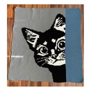 May include: A gray and blue crocheted blanket with a black and white cat face design. The cat's eyes are white with black pupils.