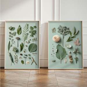 Arte de parede de flores, impressão de arte botânica de herbário verde, decoração de casa de campo, impressão de painço, plantas prensadas, arte de folhas secas, pintura grande