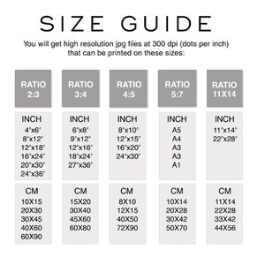 May include: A size guide for digital prints, showing different aspect ratios and corresponding inch and centimeter measurements. The ratios are 2:3, 3:4, 4:5, 5:7, and 11x14. The inch measurements include standard sizes like 4x6, 8x10, and 12x18, as well as A-series paper sizes like A5, A4, and A3.