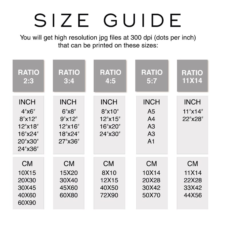 May include: A size guide for digital prints, showing different aspect ratios and corresponding inch and centimeter measurements. The ratios are 2:3, 3:4, 4:5, 5:7, and 11x14. The inch measurements include standard sizes like 4x6, 8x10, and 12x18, as well as A-series paper sizes like A5, A4, and A3.