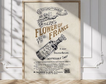 Vintage French Advertisment for Labern's Perfume, 19th century Illustration Poster, Antique Fashion Wall Decor, Victorian Perfumery Print