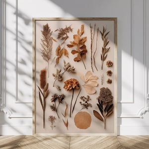 Arte botánico de flores secas beige, decoración de pared de herbario, decoración estética del hogar de otoño, cartel de millot, estampado de flores, cartel de hojas de flores