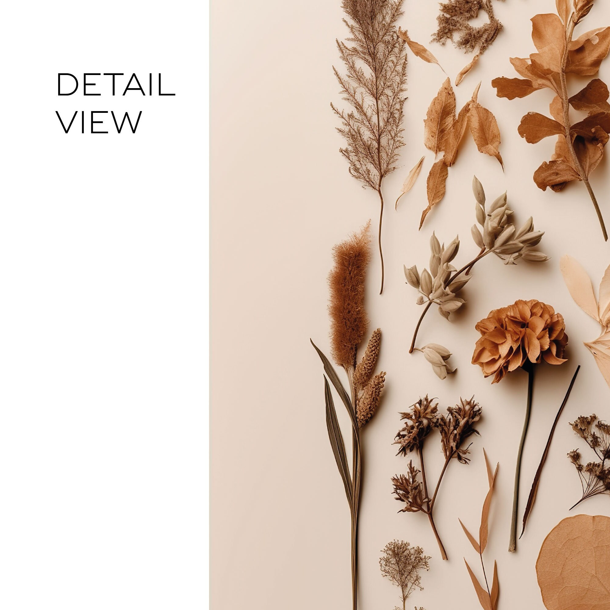 Beige Dried Flower Wall Art Botanical Herbarium Poster Set Home Decor Beige Dried Flower Wall Art Botanical Herbarium Poster Set Home Decor