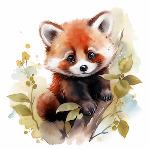 Aquarel rode Panda Clipart, 12 hoge kwaliteit rode Panda JPG's, voor het maken van kaarten, mixed media, digitale papierkunst en meer...