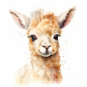 Clipart acquerello Llama Alpaka, 12 JPG di ritratti di lama Alpaka di alta qualità, per la creazione di cartoline, supporti misti, creazioni con carta digitale...