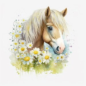 Clipart acquerello Daisy Horse, 12 JPG di alta qualità Daisy Horse Pony, per la creazione di cartoline, supporti misti, creazioni con carta digitale e altro ancora