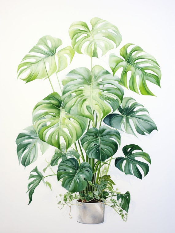 Watercolor Philodendron Plant Clipart, 10 High Quality Philodendron Plant  Jpgs, for Card Making, Mixed Media, Digital Paper Craft and More - Etsy
