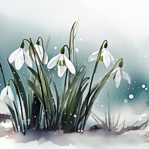 Watercolor Snowdrop Flowers Clipart, 12 High Quality Snowdrop Flowers JPGs, For Card Making, Mixed Media, Digital Paper Craft and More