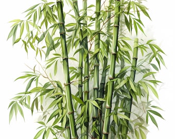 May include: A close-up of a cluster of green bamboo stalks with lush green leaves. The bamboo is arranged in a natural, organic pattern, creating a sense of tranquility and peace.