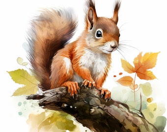 Watercolor red Squirrel Clipart, 12 High Quality red Squirrel JPGs, For Card Making, Mixed Media, Digital Paper Craft and More