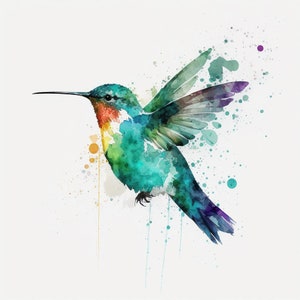 Clipart di colibrì floreale dell'acquerello, 11 JPG di colibrì floreale di alta qualità, per la creazione di carte, supporti misti, artigianato di carta digitale e altro ancora
