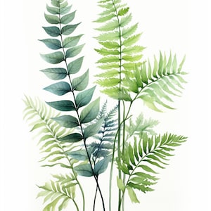 Set di felci ad acquerello Clipart, 12 set di felci di alta qualità JPG, per arte della parete, creazione di cartoline, supporti misti, creazioni con carta digitale e altro ancora