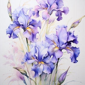 Clipart dell'iride del fiore dell'acquerello, 10 JPG dell'iride del fiore di alta qualità, per la creazione di carte, supporti misti, artigianato di carta digitale e altro ancora...