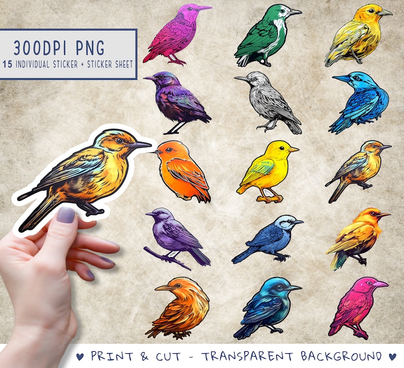 Colorful Birds Sticker PNG, Bird Sticker Sheet Template, Animals ...