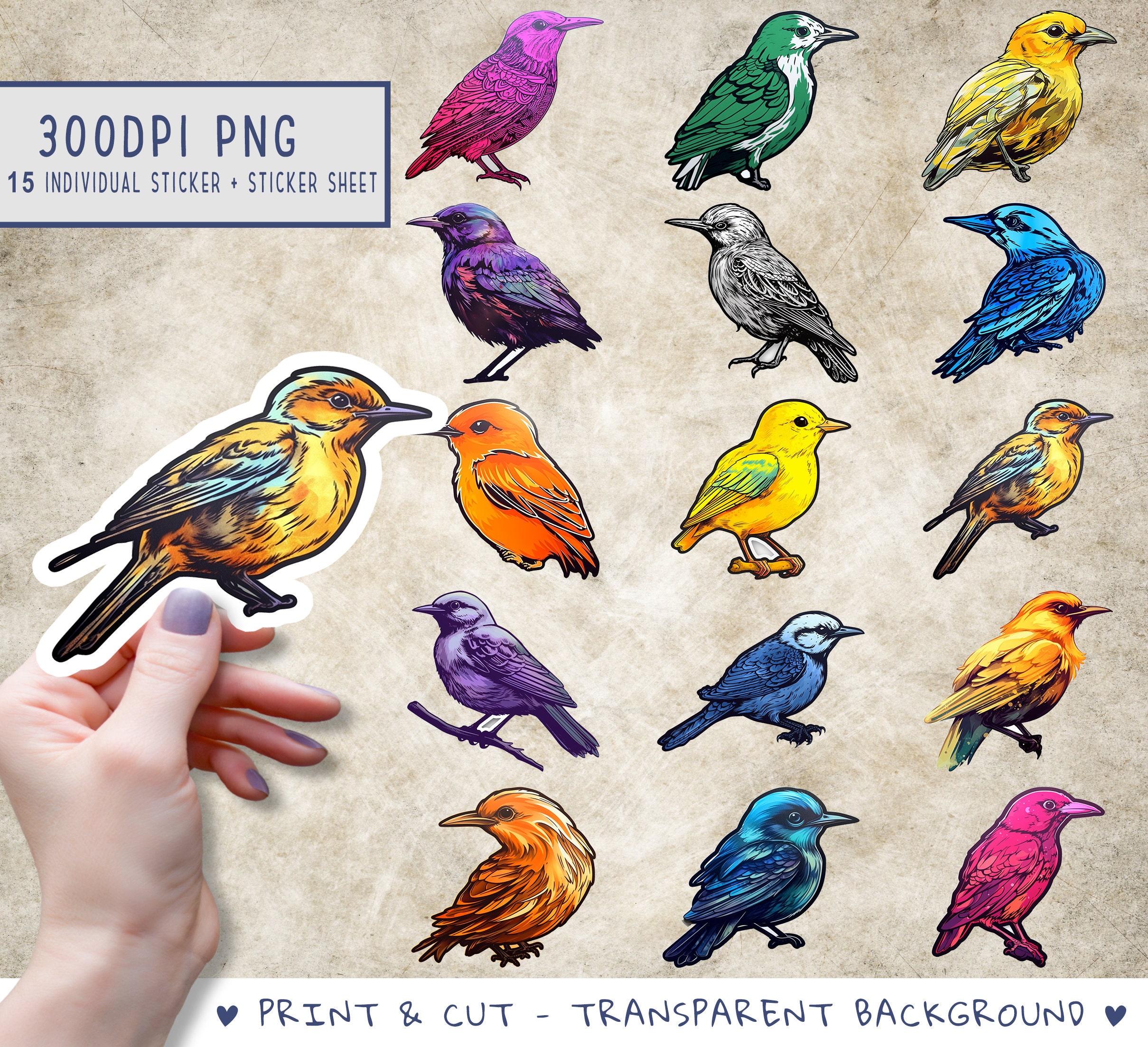 Bird Sticker Pack 12pc / Bird Stickers / Nature Stickers / Bird