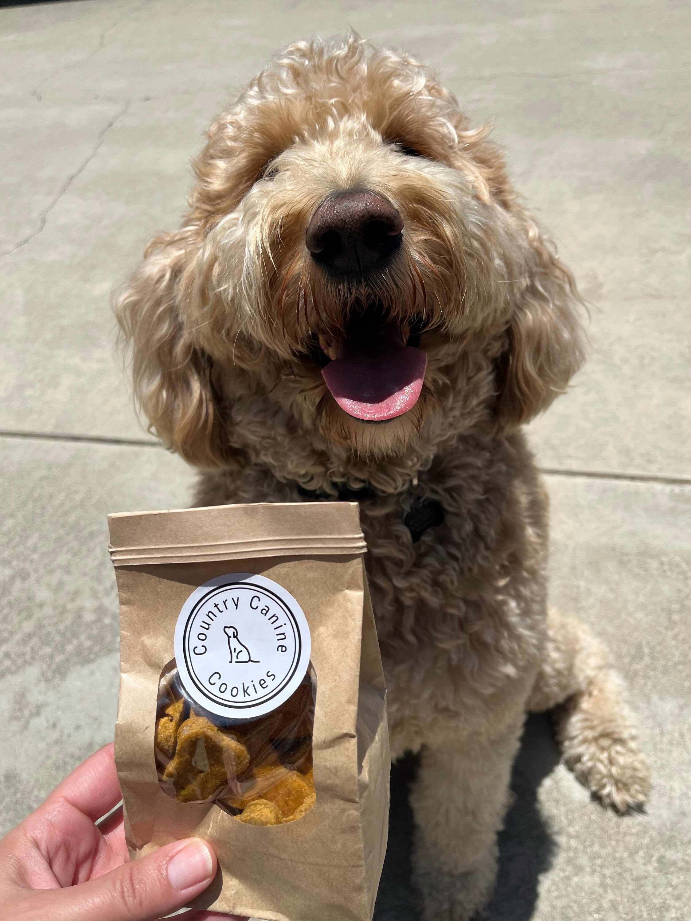 Home Kitchen, Hand Crafted Dog Treats. - Etsy