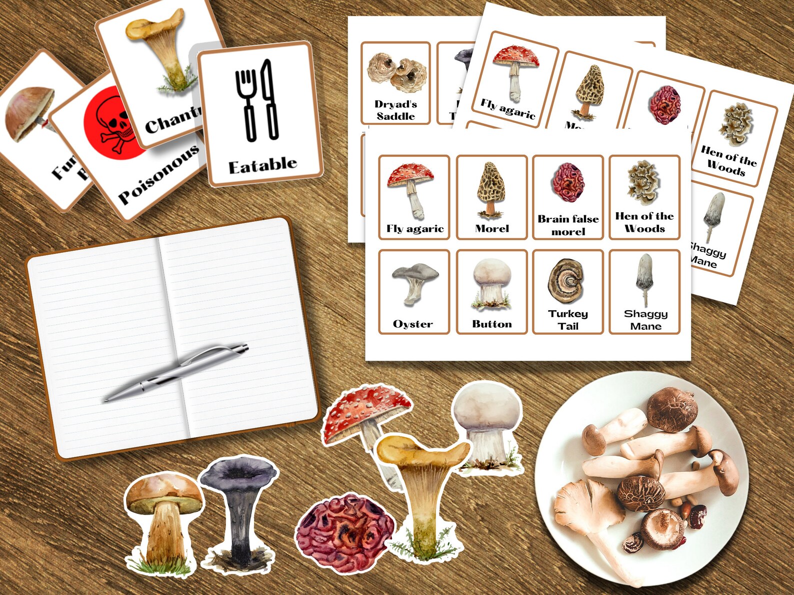 Mushroom Flashcards With Bonus Poster - Etsy