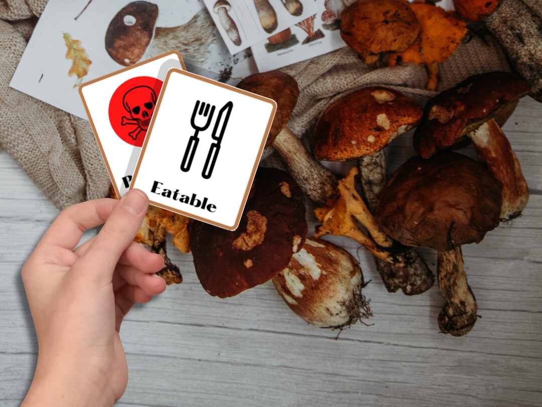 Mushroom Flashcards With Bonus Poster - Etsy