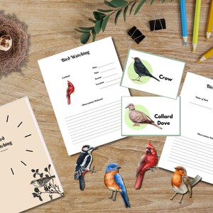 May include: A set of printable bird watching cards featuring illustrations of a cardinal, crow, collared dove, woodpecker, bluebird, and robin. Each card has a space to write the bird's name, date, time, season, location, and observations about the bird's behavior. The cards are perfect for bird watching enthusiasts of all ages.