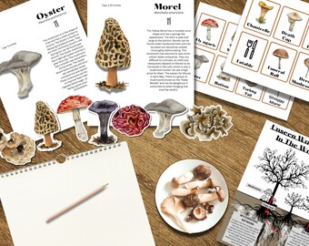 Mushroom Flashcards With Bonus Poster - Etsy