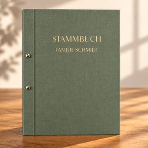 Op de afbeelding: Een saliegroene, met stof beklede ordner met twee zilverkleurige metalen schroeven op de linker rug. De voorkant is voorzien van goudkleurige tekst in reliëf met de woorden STAMMBUCH en FAMILIE SCHMIDT in een schreefloos lettertype.