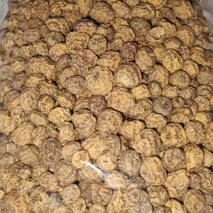 Tiger Nut 1lb (dry)
