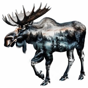 8 Clipart orignal aquarelle | Bundle de cliparts nature sauvage | 8 images de haute qualité | Nature et art animalier | Imprimables | Utilisation commerciale