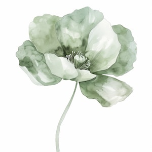 11 Imágenes prediseñadas de flores verdes, estampado floral verde, imágenes prediseñadas de acuarela imprimible, PNG de alta calidad, descarga digital, artesanía de papel, diario basura