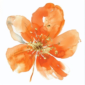 12 oranje bloemen clipart, oranje bloemenprint, afdrukbare aquarel clipart, hoge kwaliteit PNGs, digitale download, papier ambachtelijke, junk journal