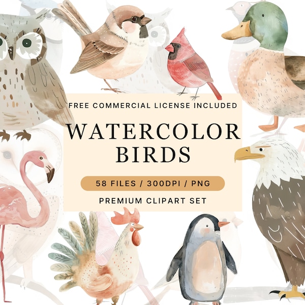 Beautiful watercolor Bird Clipart PNG Bundle Transparent Background Clip Art for Kids Activity Digital Download Commercial Use