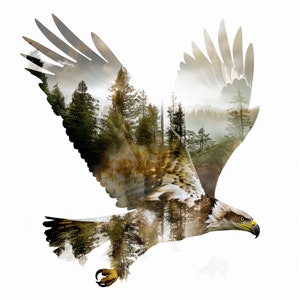 10 Imágenes prediseñadas de águila majestuosa de acuarela / paquete de imágenes prediseñadas de naturaleza salvaje / 10 imágenes de alta calidad / Naturaleza y arte animal / Imprimibles de uso comercial