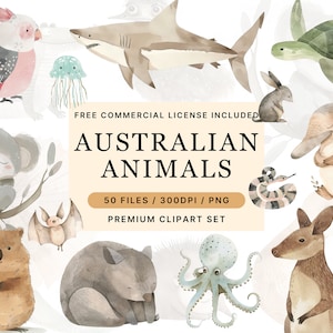 Clipart animaux australiens, Koala Clipart, animaux australiens, baby shower, clipart bébé, usage Commercial et personnel, téléchargement numérique